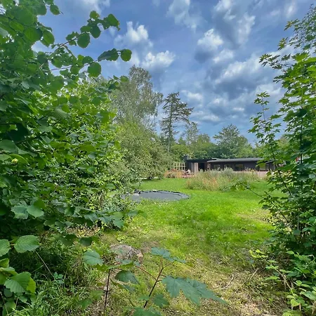 Japanese-inspired Nature Gem In Feriehus