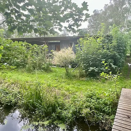 Japanese-inspired Nature Gem In *